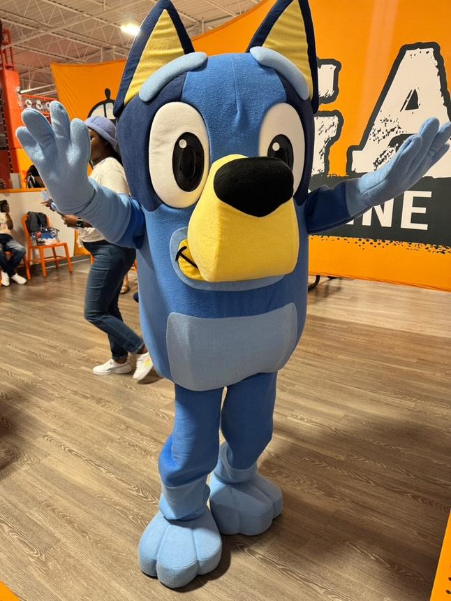 Bluey Look A Like - Image 2